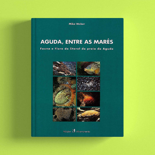 Aguda, Entre as Marés