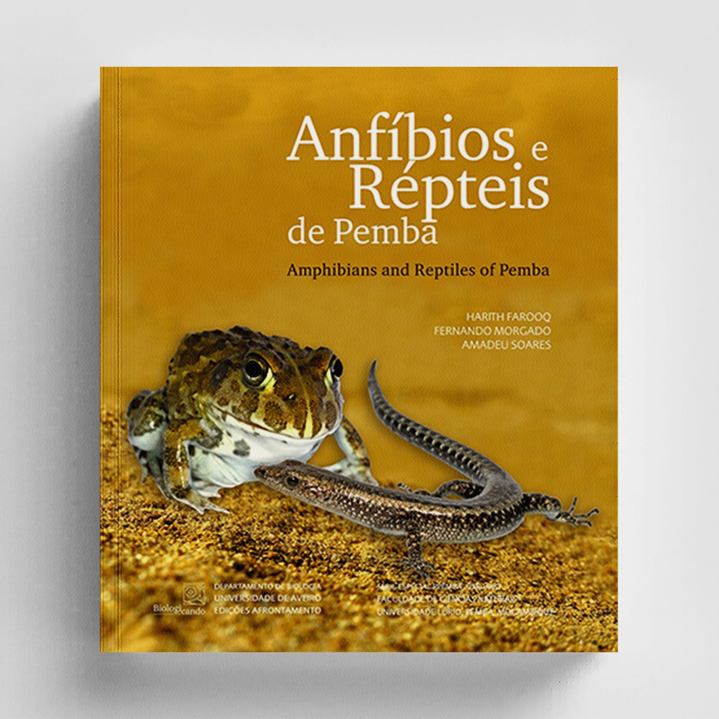 Anfíbios e Répteis de Pemba