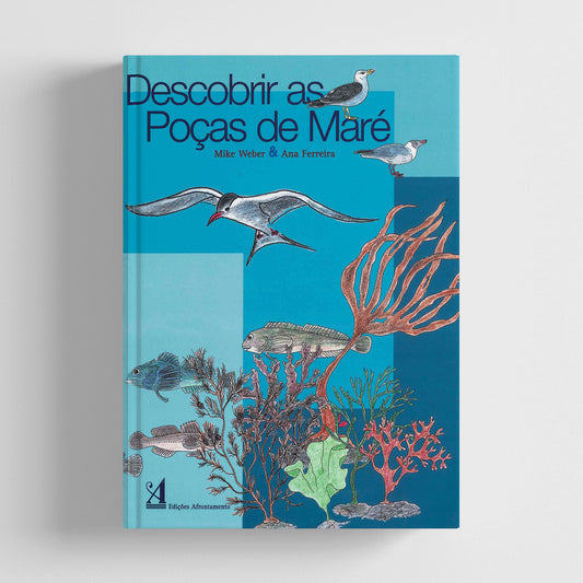 Descobrir as Poças de Maré