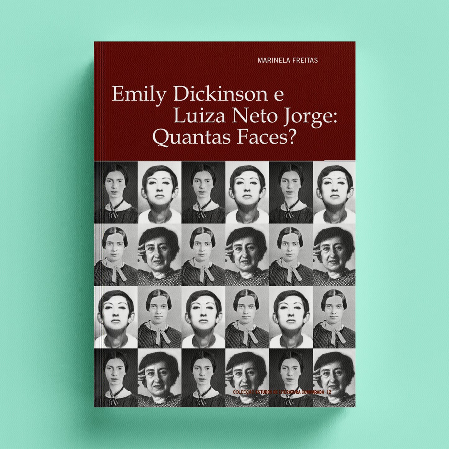 Emily Dickinson e Luiza Neto Jorge: Quantas Faces?