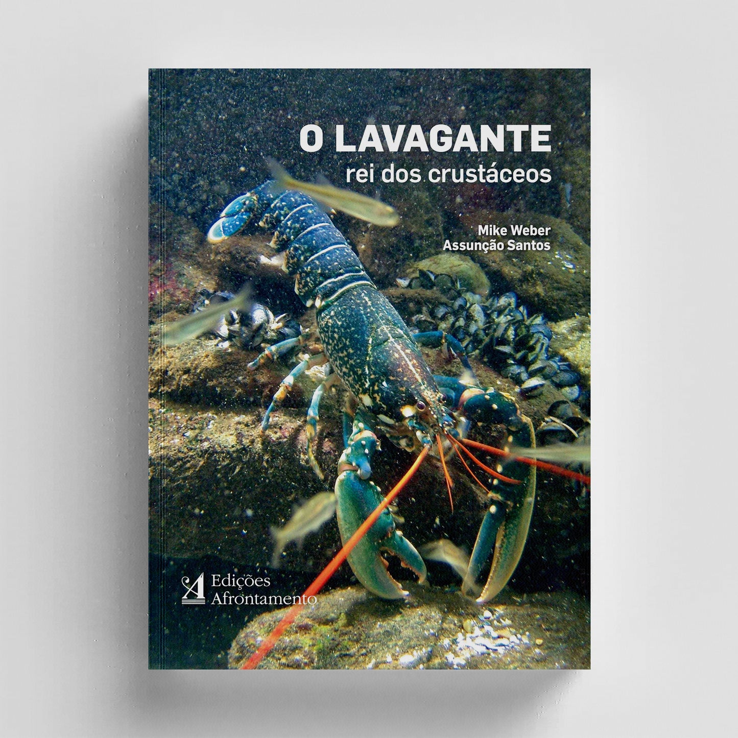 Lavagante